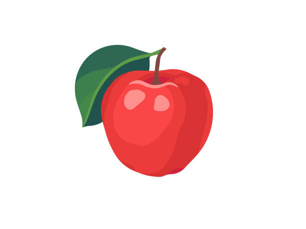 illustrazioni stock, clip art, cartoni animati e icone di tendenza di frutto di mele - mela illustrazioni