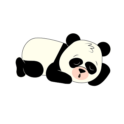 Funny Cartoon Panda Sleeping Isolated On White Background Stock  Illustration - Download Image Now - iStock