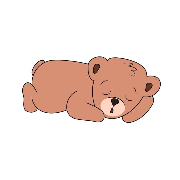 ilustrações de stock, clip art, desenhos animados e ícones de cute sleeping brown bear cub isolated on white background - fluffy bear cute friendship