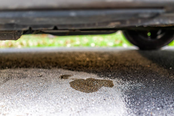 Parked car in driveway with macro closeup of vehicle leaking fuel on cat litter to prevent damaging pavement and to absorb the gas Parked car in driveway with macro closeup of vehicle leaking fuel on cat litter to prevent damaging pavement and to absorb the gas slickrock trail stock pictures, royalty-free photos & images