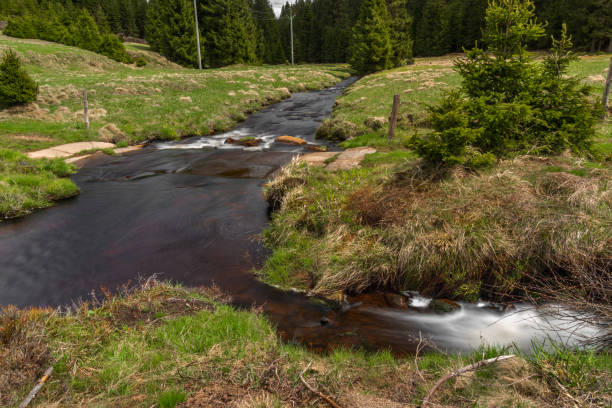 istock Rolava river with fresh meadows and forests in spring day 1322892051