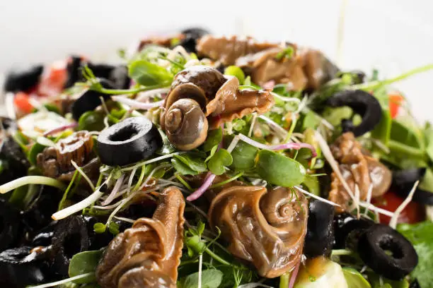 Close-up green salad with snails on white background. French gourmet cuisine.