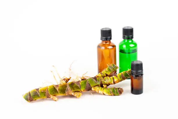 Fresh Acorus calamus roots, also known as sweet flag, and bottles with oil and extract isolated on light background. Calamus root is used in personal care products. Beauty and medicine.