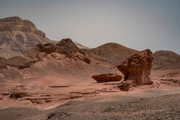 istock Timna Park, Israel 1322900795