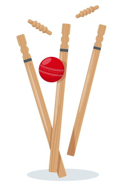 Red leather Cricket Ball striking wooden Wickets. Sport Cricket equipment. Red leather Ball striking wooden Wickets. Flat vector illustration on white background. wicket stock illustrations