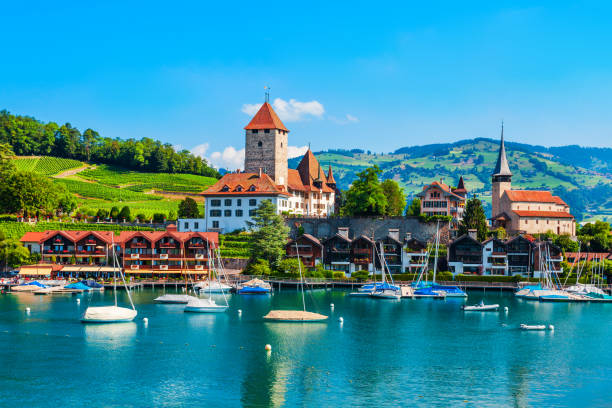 castillo de schloss spiez en suiza - lake thun swiss culture berne castle fotografías e imágenes de stock