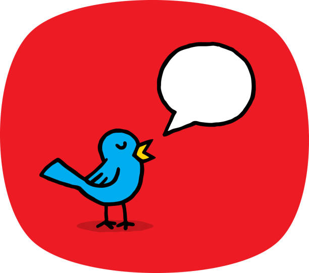 ilustrações de stock, clip art, desenhos animados e ícones de bird with speech bubble doodle - birdsong