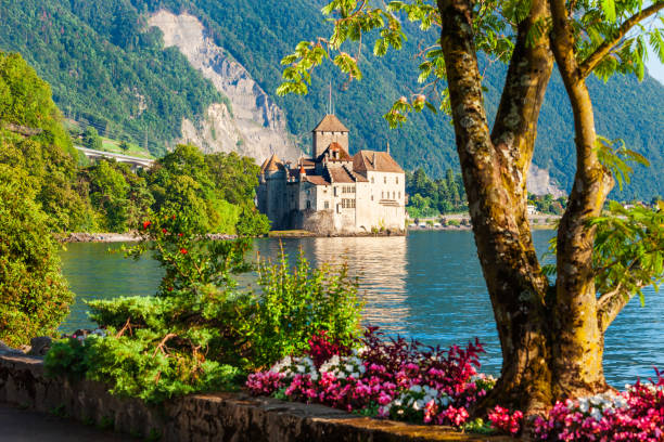 Chateau Chillon Castle in Switzerland Chillon Castle or Chateau de Chillon is an island castle located on Lake Geneva near Montreux town in Switzerland geneva switzerland photos stock pictures, royalty-free photos & images