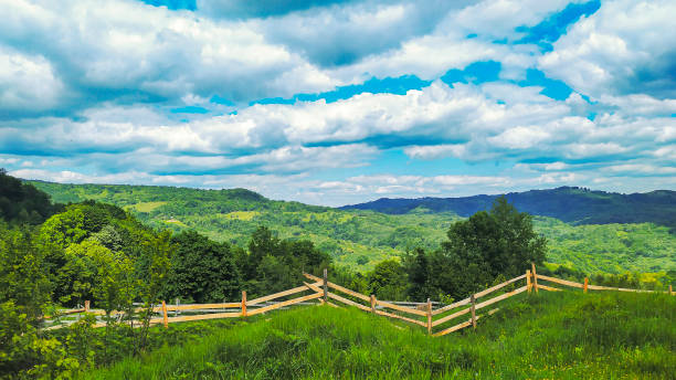 istock Tranquil green fields and wooden fences in nature 1322902276