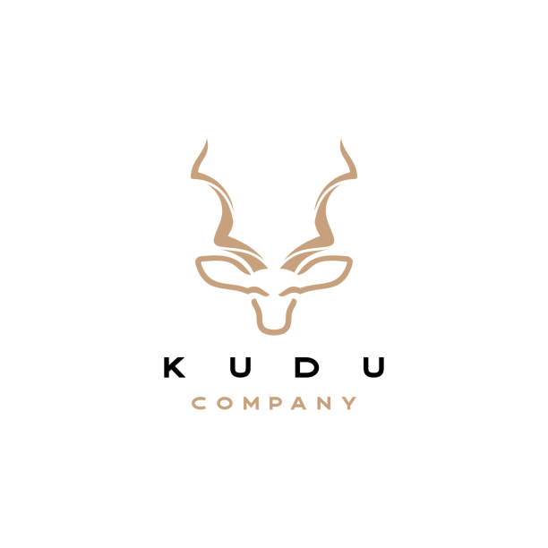 Kudu head line art outline vector icon illustration stock illustration Kudu head line art outline vector icon illustration kudu stock illustrations
