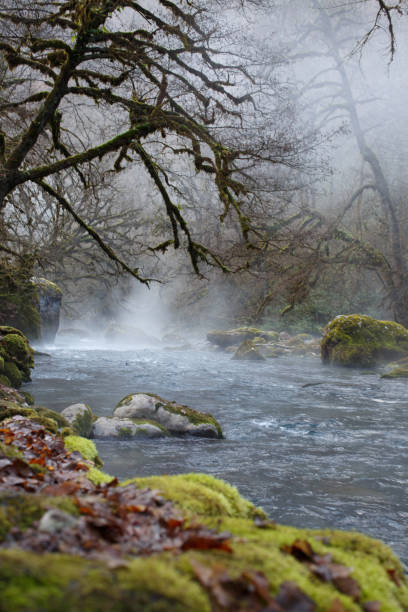 istock fog over a mountain river in a magical forest covered with moss 1322909874
