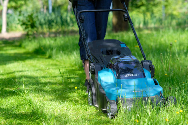 istock Female cutting grass using lawn mower. Maintenance garden 1322911676