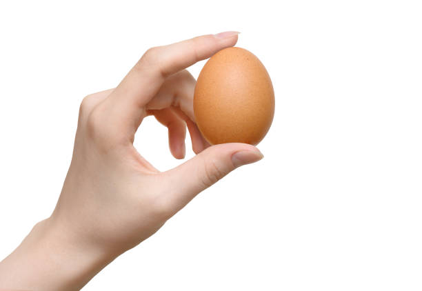 istock Woman hand holding egg isolated on white 1322918783