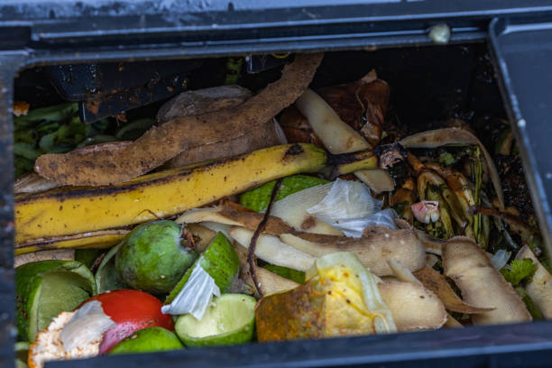 istock Organic scrapin the top of a compartment in a rotating composter 1322921453