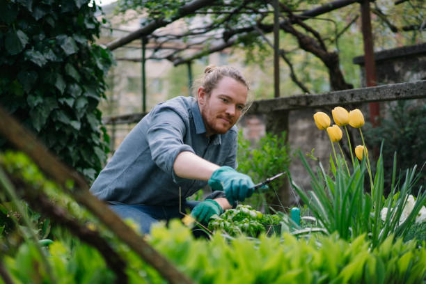 istock Young man gardens in his back yard 1322927403