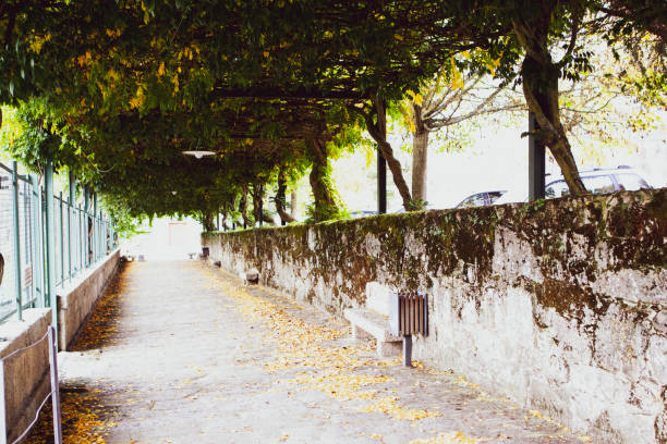 Image of a beautiful park in the city center of Santiago de Compostela