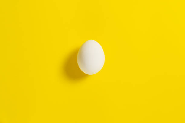 istock One white chicken egg lies on a yellow background. 1322932307