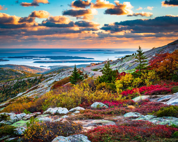 Cadillac Mountain An autumn view from Cadillac Mountain in Acadia National Park in Maine seascape stock pictures, royalty-free photos & images