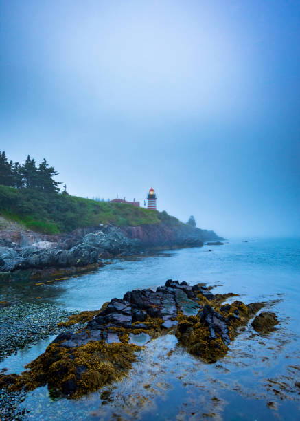 West Quoddy Head Light The West Quoddy Head Light in Maine quoddy head state park stock pictures, royalty-free photos & images