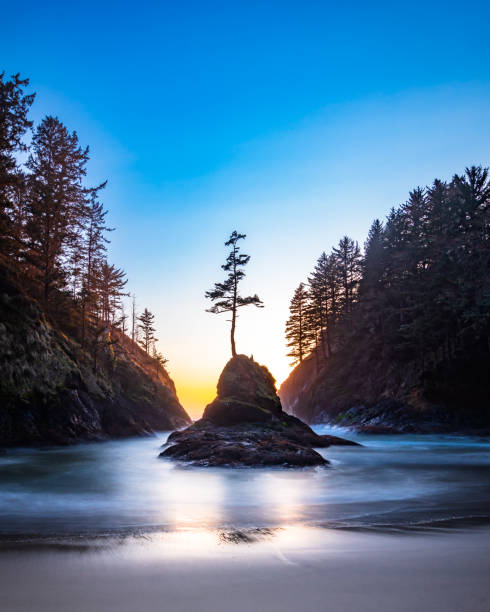 Deadman's Cove Deadman's Cove in Cape Disappointment, Washington State at sunset washington state coast stock pictures, royalty-free photos & images