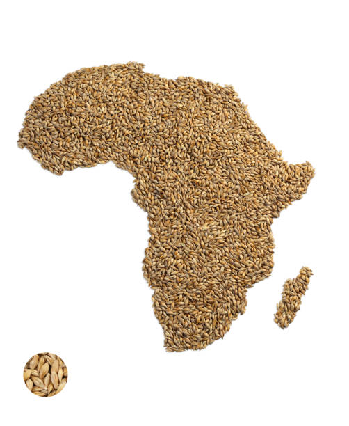 istock Image of map made of wheat grains 1322940253