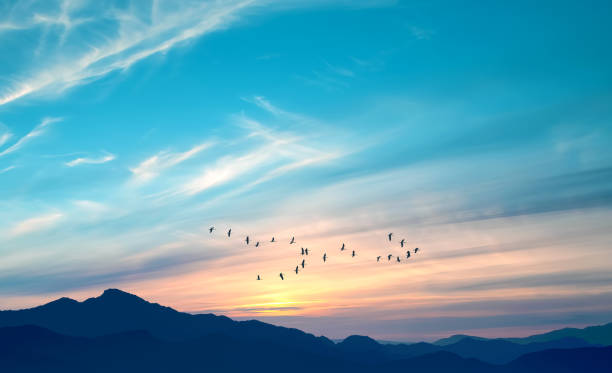 istock Birds in flight above the mountains 1322942396