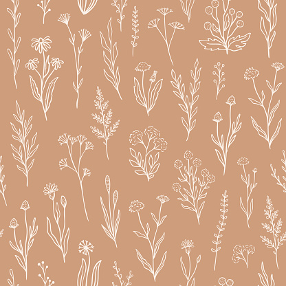 Wildflower seamless pattern with outline florals. Retro style print design with hand drawn doodle flowers in rustic colors. Simple field floral patterns for wallpaper, packaging, fabric design