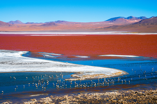 A series of photographs showing the remote region of Bolivia South America