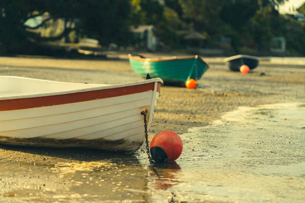 Dingies at low tide at waters edge on beach in Tauranga in grainy old world cinematic effect