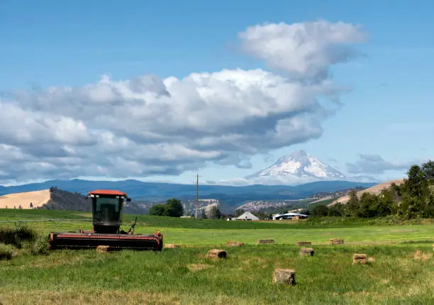 A hay baler, hay bales, and a wheat field in Dufur, Oregon, with Mt Hood in the background.