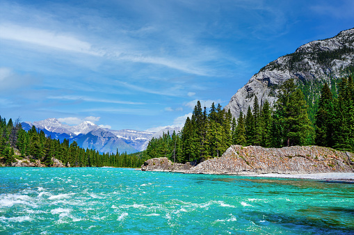 Rapidly flowing waters of Bow River in Banff National Park with surrounding pine trees and the snow-capped Canadian Rockies in the background.