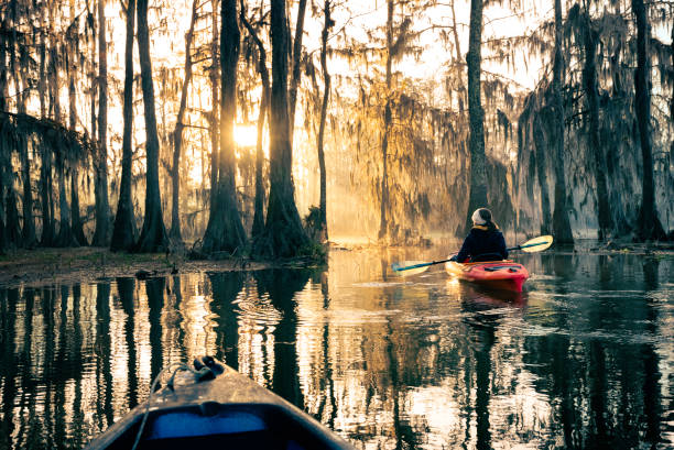 Spiritual sunrise at Lake Martin, LA Kayaking at Lake Martin, a bald cypress swamp, Breaux Bridge, Louisiana, USA swamp stock pictures, royalty-free photos & images
