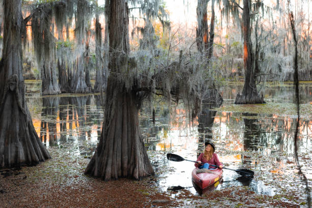 istock Kayaking in a cypress swamp 1322960598