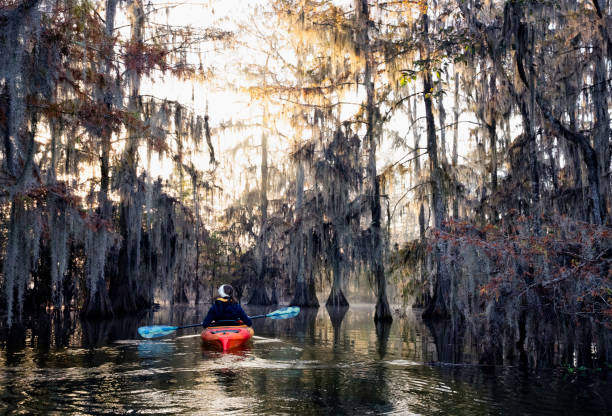 istock Kayaking  on Lake Martin, LA 1322960613