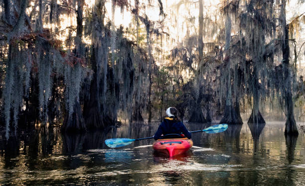 istock Kayaking  on Lake Martin, LA 1322960615