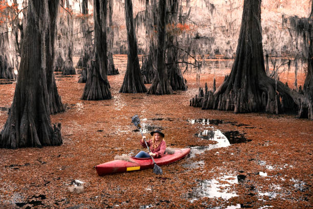 caiaque em um pântano de cipreste - lago caddo - fotografias e filmes do acervo