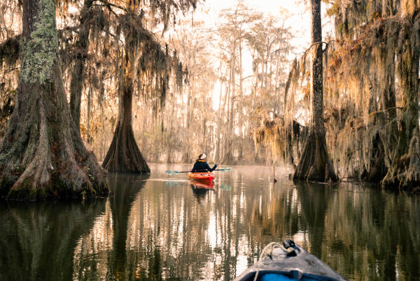 istock Kayaking  on Lake Martin, LA 1322960617