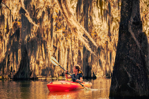 istock Kayaking through a cypress swamp 1322960624
