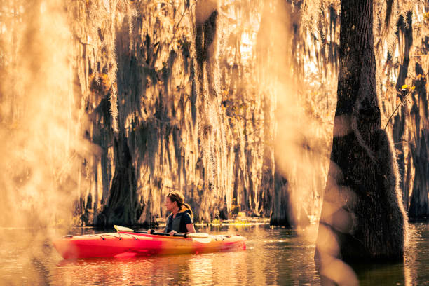 istock Kayaking through a cypress swamp 1322960627