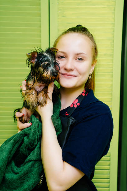 istock Groomer with Yorkshire Terrier. extras at the pet store 1322966191