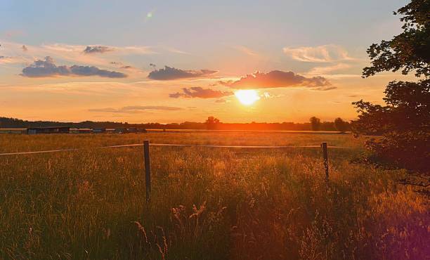istock Summer landscape at the evening at sundown 1322967321