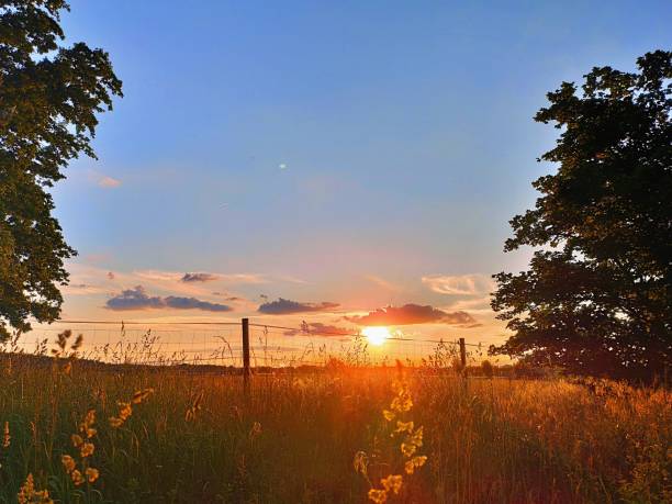 istock Summer landscape at the evening at sundown 1322967369