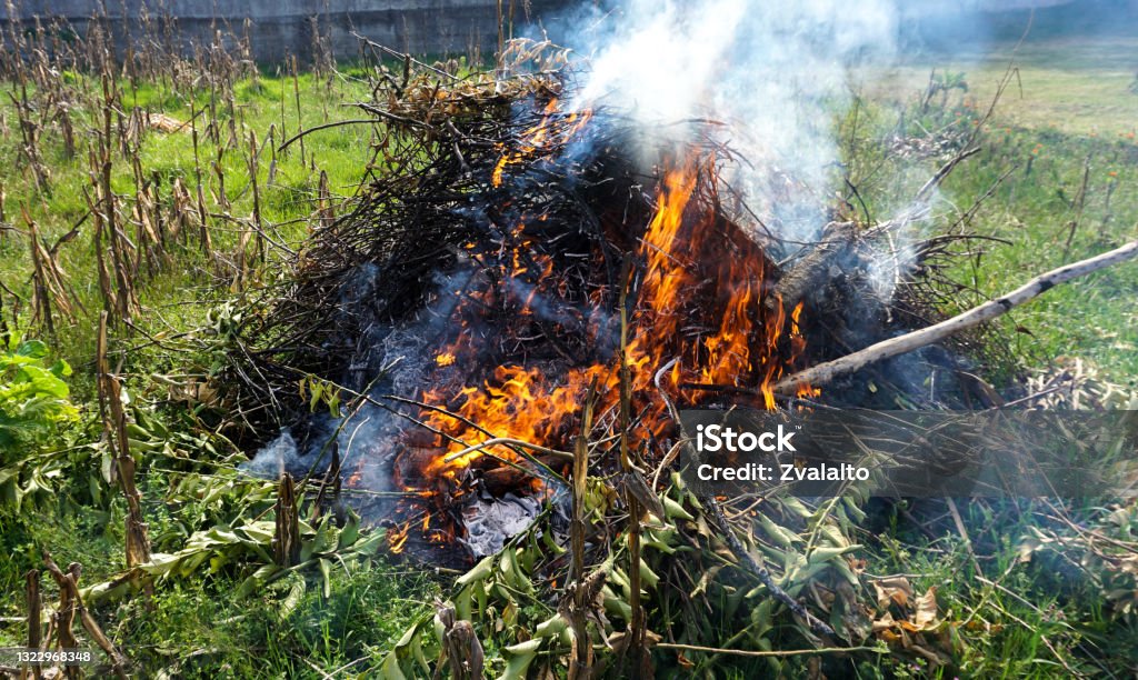 stubble burning burning of branches left over from pruning fruit trees Fire - Natural Phenomenon Stock Photo