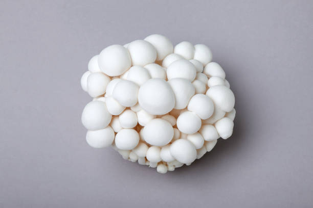 istock Bunapi shimeji, white beech mushrooms, also called white clamshell mushrooms 1322974728
