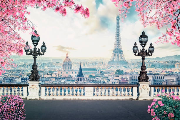 romantica città di parigi in primavera - spring magnolia flower sky foto e immagini stock
