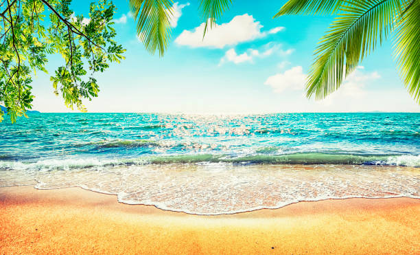 istock Sunny day on the beach 1322979560