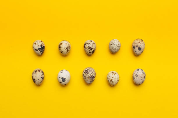 huevos de codorniz sobre fondo amarillo - huevo de codorniz fotografías e imágenes de stock