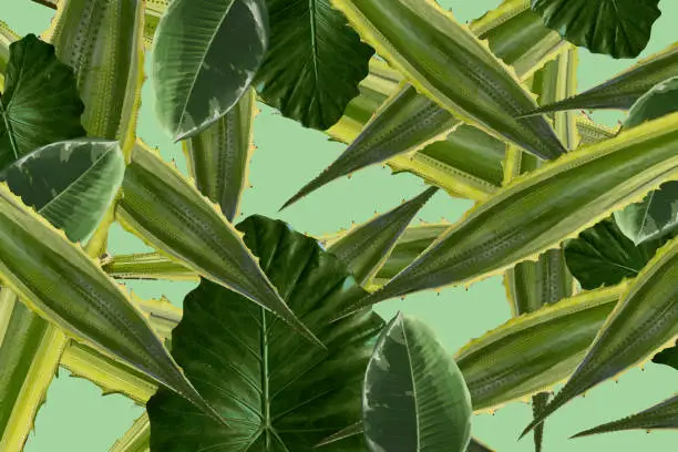 Vector illustration of Plant attribute