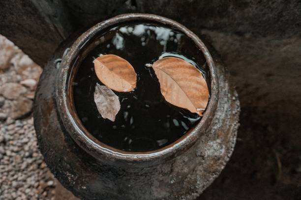 istock Dried leaves floating on water 1322988542