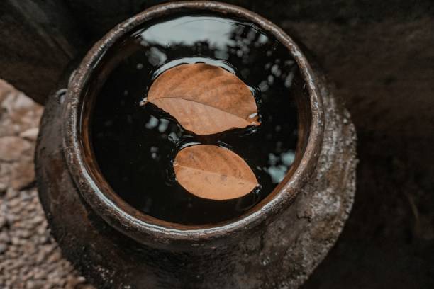 istock Dried leaves floating on water 1322988580